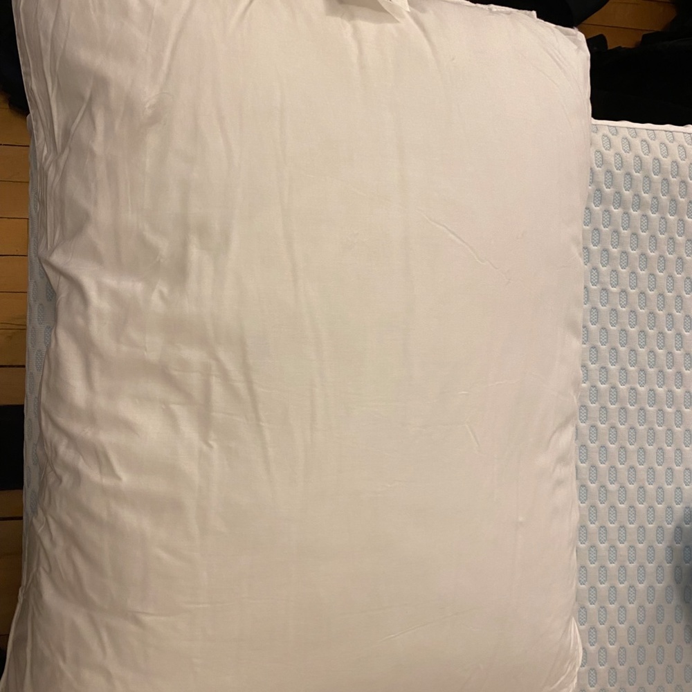 2 Down Pillows